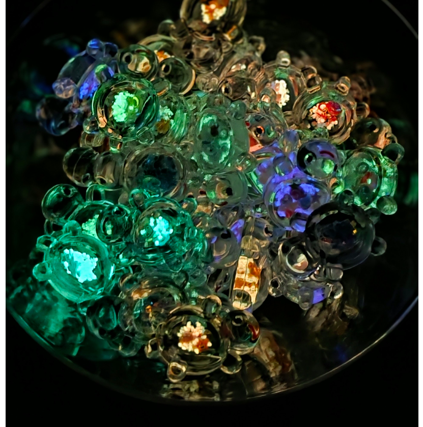 Glow in the Dark Turtles